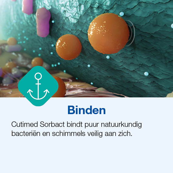 Binden (1)